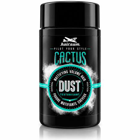 Hairgum Dust poudre texturisante Cactus 15gr