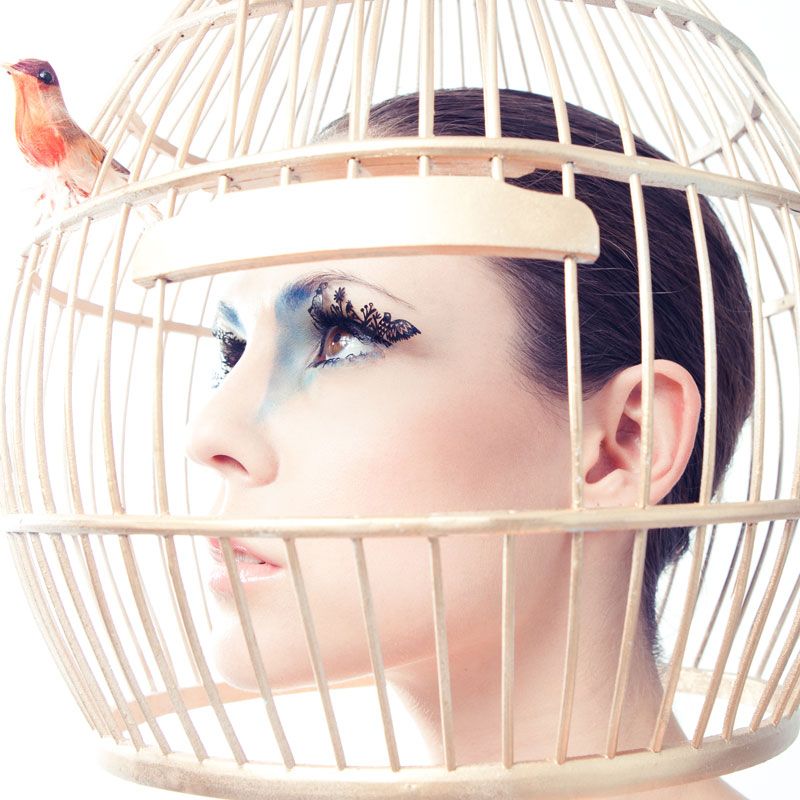 Paperself eyelashes birds x2